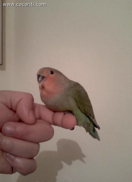 il mio piccolo :D